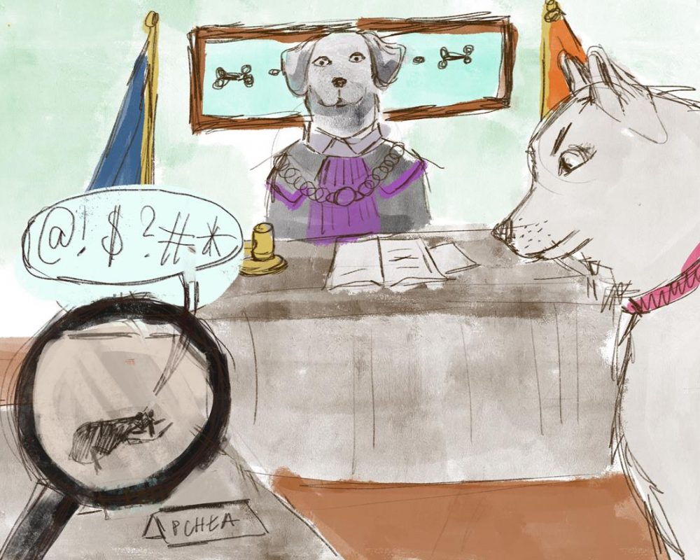 Pchła obok siedzącego psa w tle pies w stroju sędziego