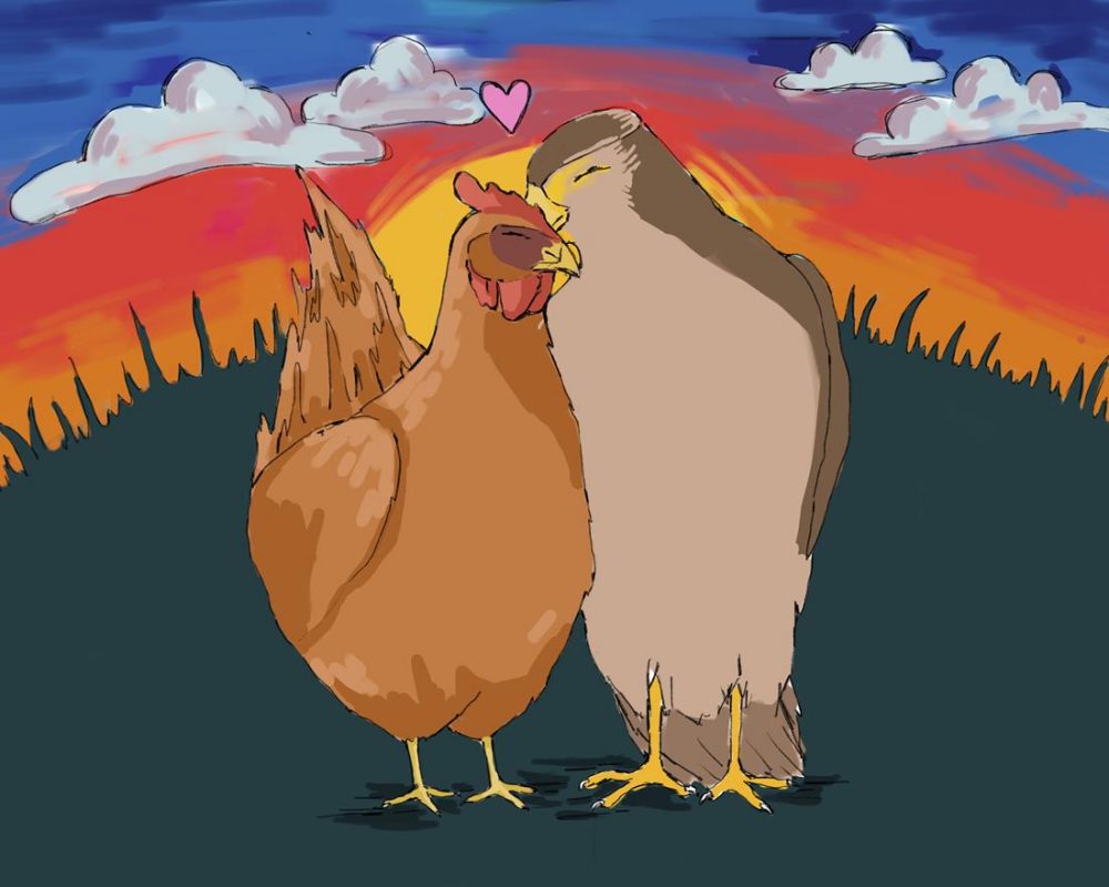 Kura i jastrząb na tle zachodzącego słońca