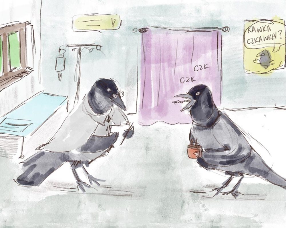 Dwie kawki w gabinecie lekarskim