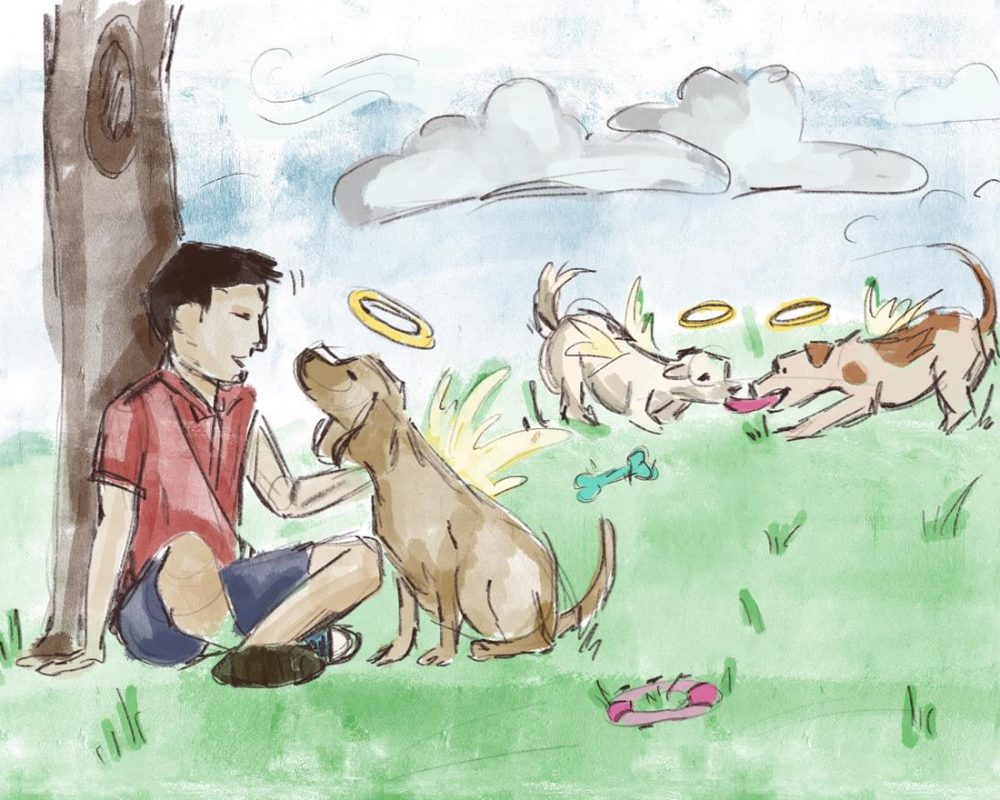 Chłopiec siedzący na trawie pod drzewem z psem