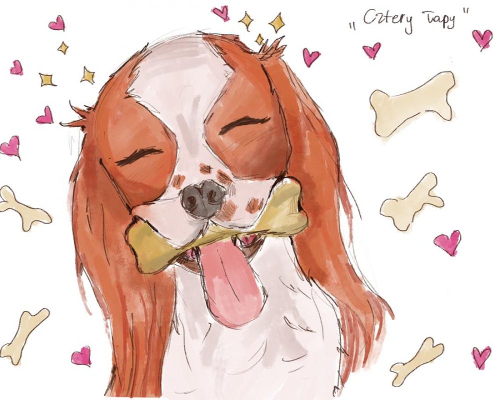 Pies z kością - "Cztery łapy"