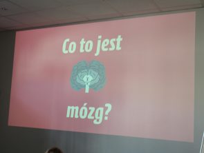 slajd "co to jest mózg"